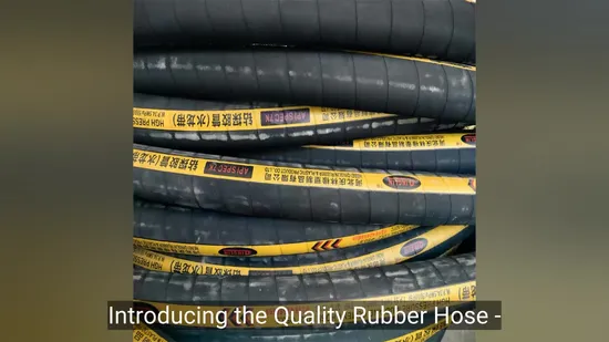 Flexible Rotary Drilling Hose with Abrasion